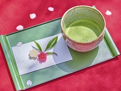 お茶の世界に触れる