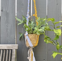 植物をおしゃれにアレンジ プラントハンガー作り